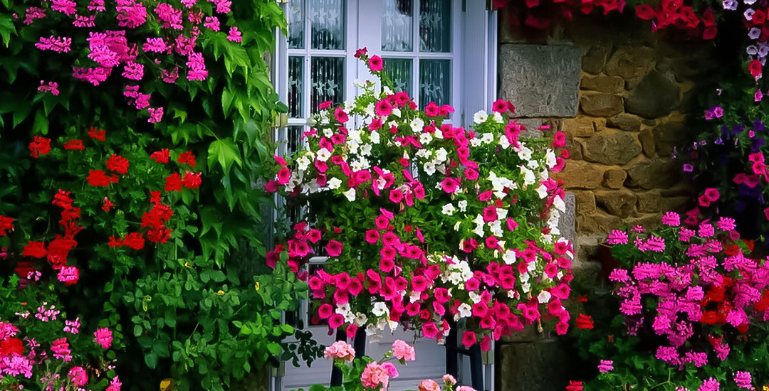 Low Maintenance Flower Gardens