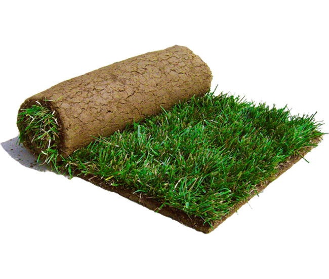 Residential and Commercial Sodding Services