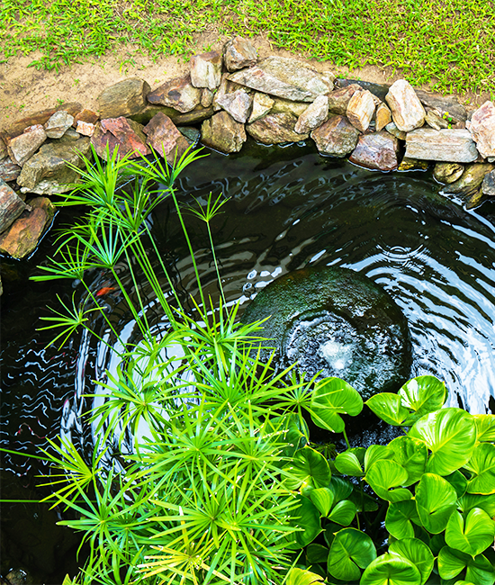 <center> Water Features are cool </center>