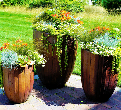 container gardening planters
