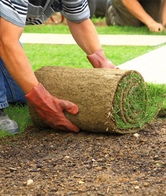 Residential and Commercial Sodding Services