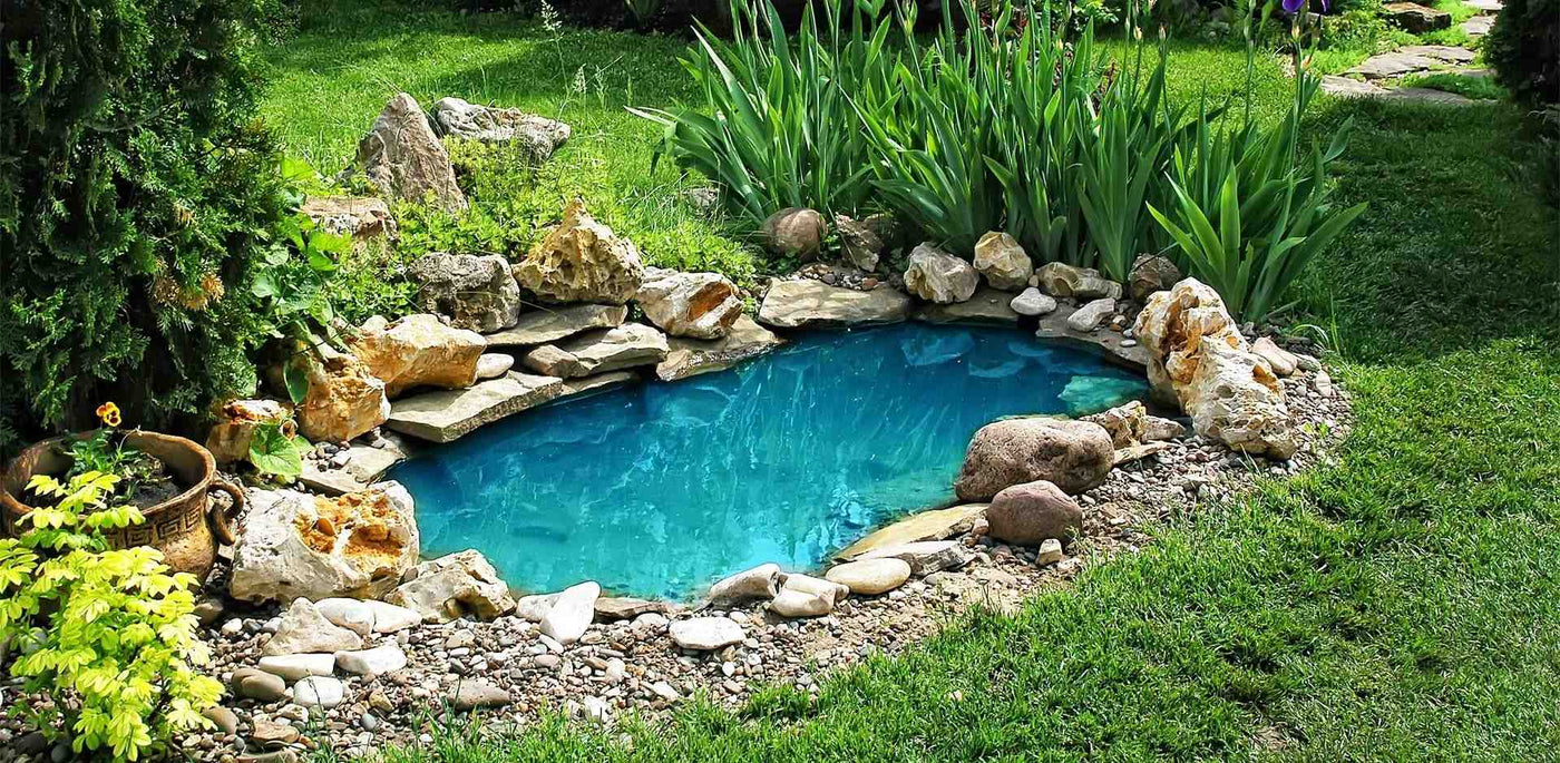 Pond installation