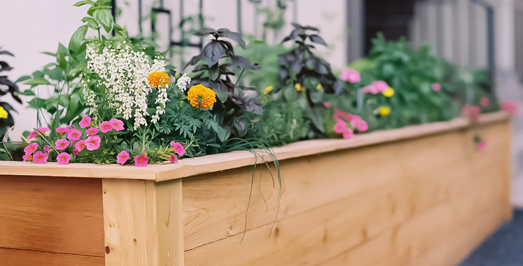 A Complete Guide to Gardening with Raised Beds: Types, Materials, and Tips