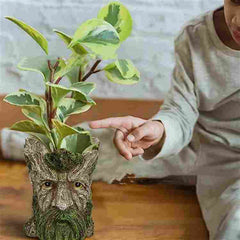 Resin Garden Plant Flowerpot Decoration Indoor