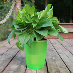 Strongwell Nordic Hydroponics Flower Pot Fairy Garden