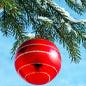 Outdoor Xmas Tree