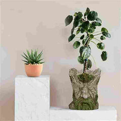 Resin Garden Plant Flowerpot Decoration Indoor