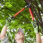 Tree Pruning