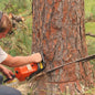 Tree removal
