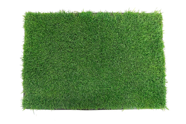 Bermuda SOD