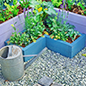 Mini Vegetable Boxes