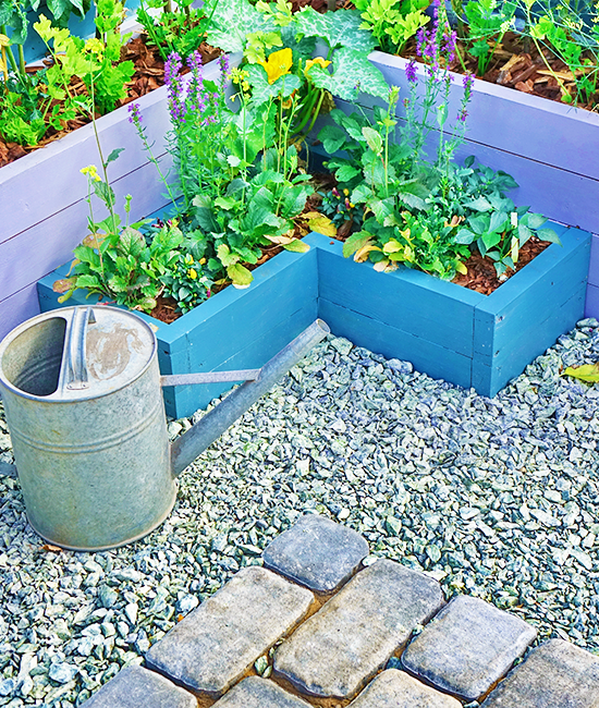 <center> Growing your own food is fun</center>