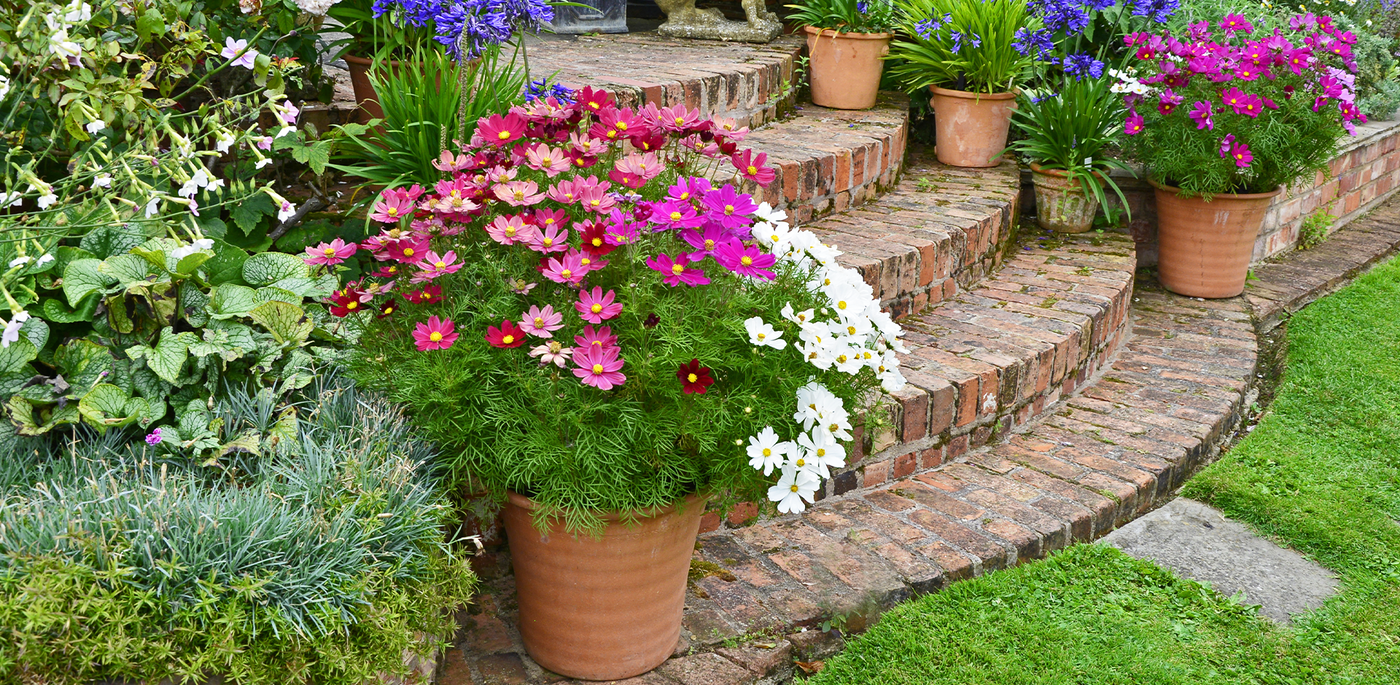 Custom container garden