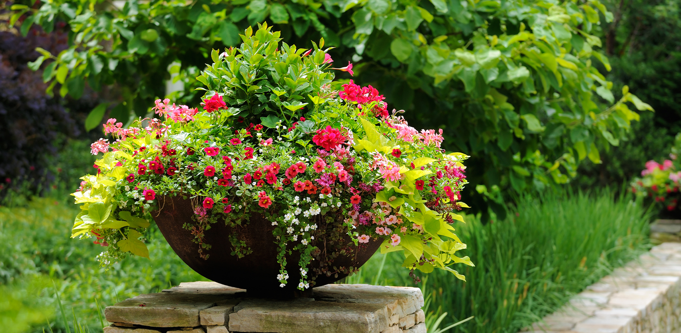 container gardens installation