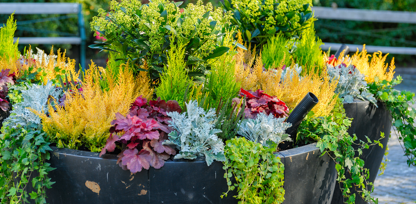 container gardening design