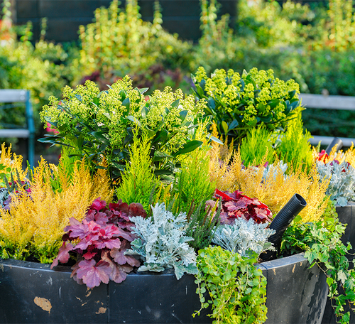 container gardening design