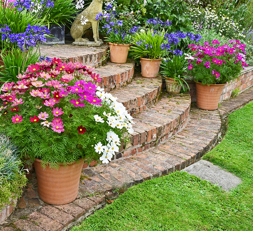 Custom container garden