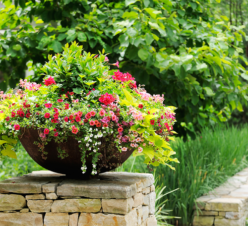 container gardens installation