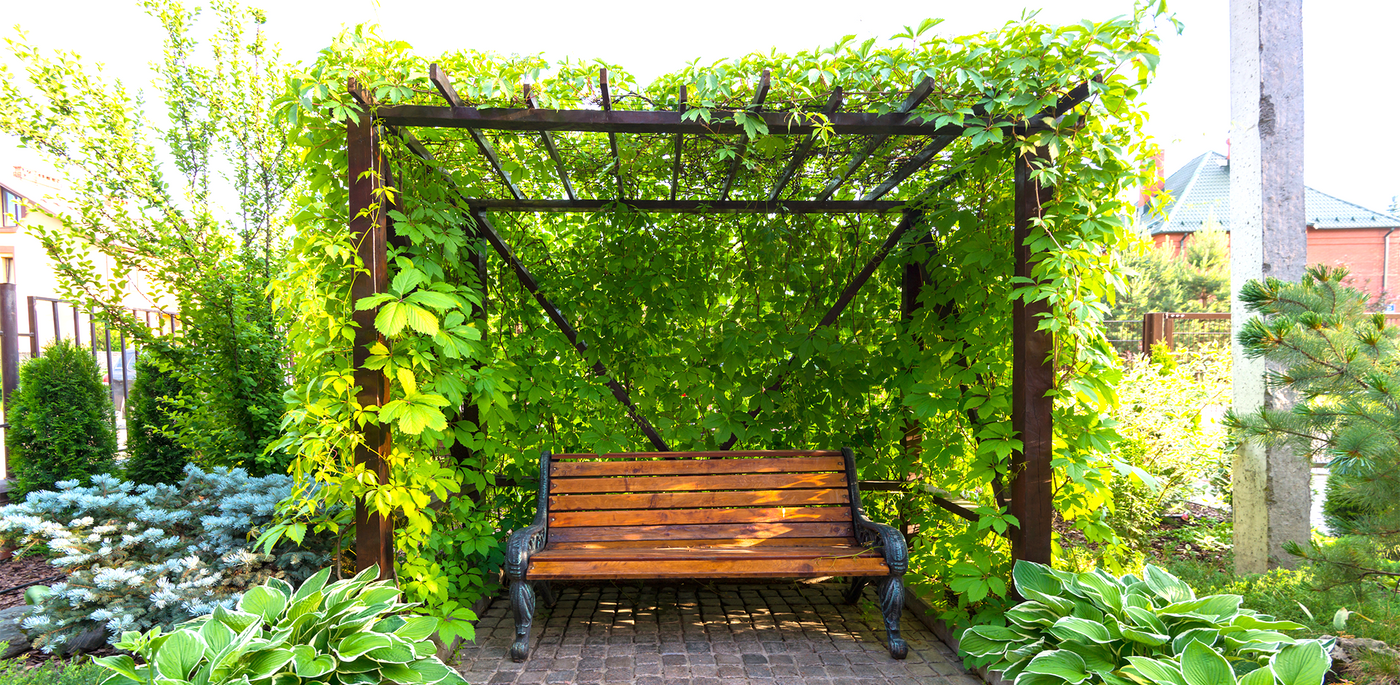 patio flower beds