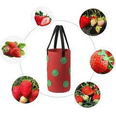 Multi-Function 13 Holes Felt Hanging Tomato Grow Bag Planter Strawberry Vegetable Flower Plant Grow Bags Garden Plant Pot