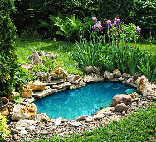 Pond installation