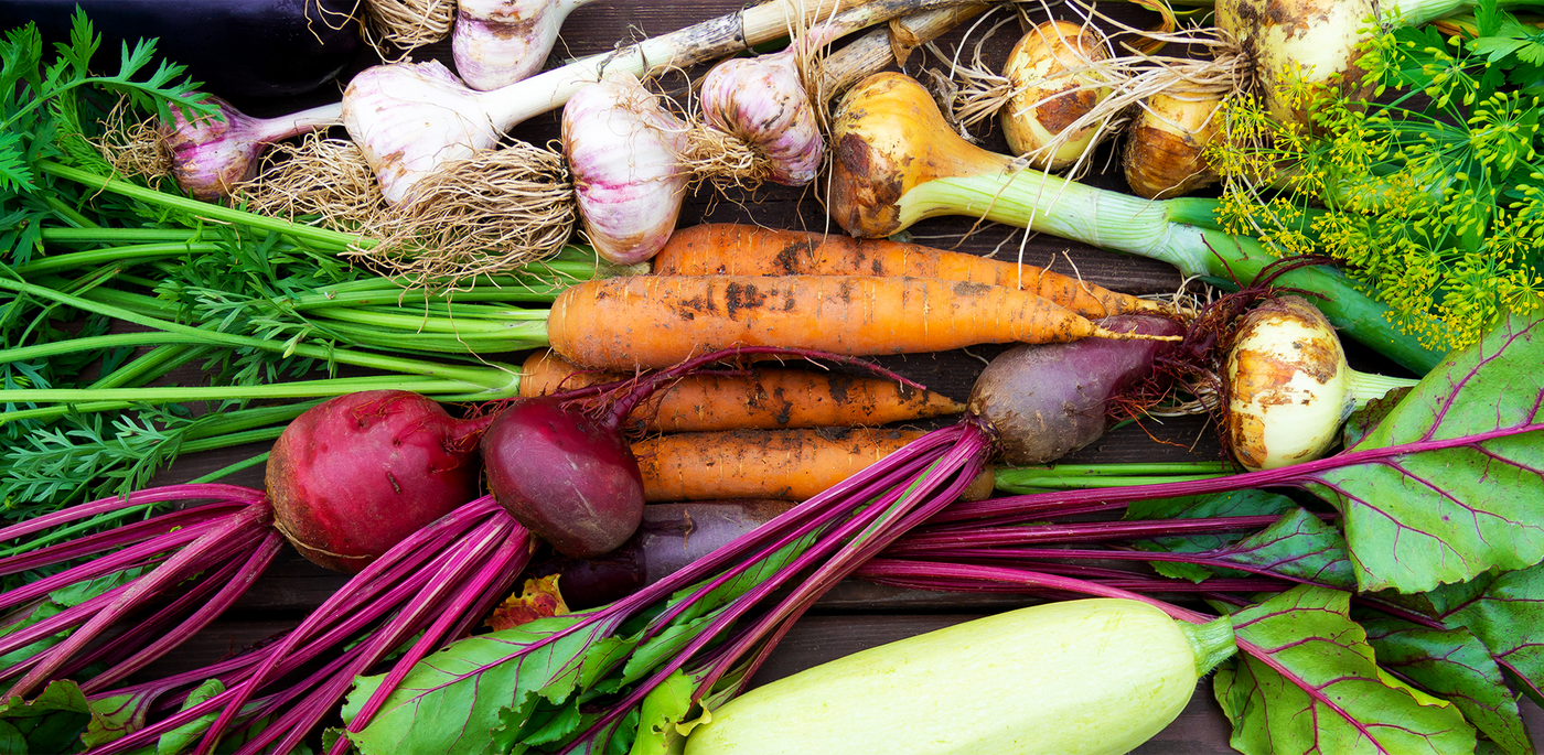 beautiful vegetable gardens