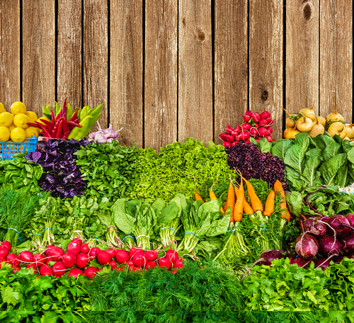 Design vegetable garden