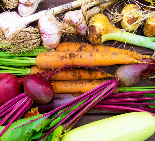 beautiful vegetable gardens