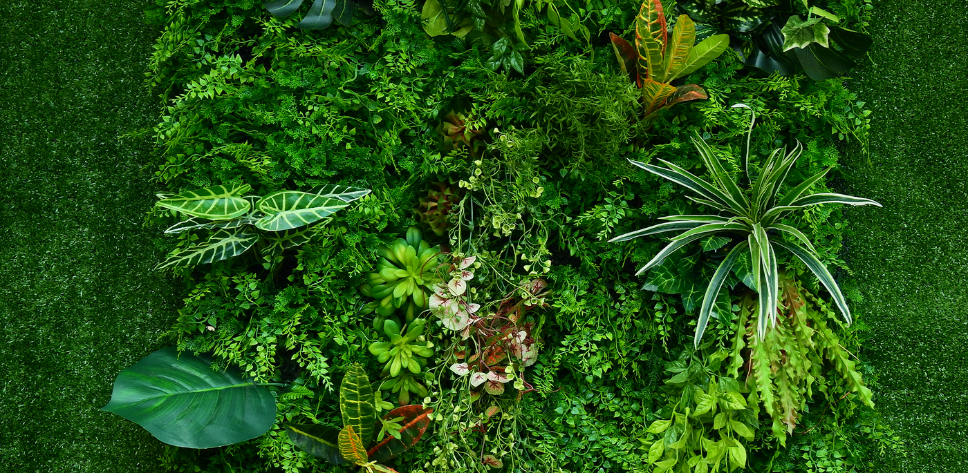 outdoor vertical garden