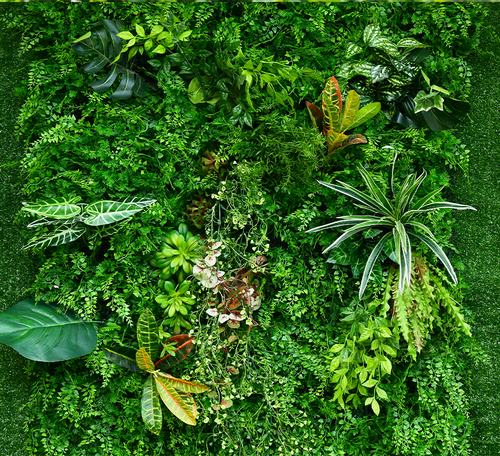 outdoor vertical garden