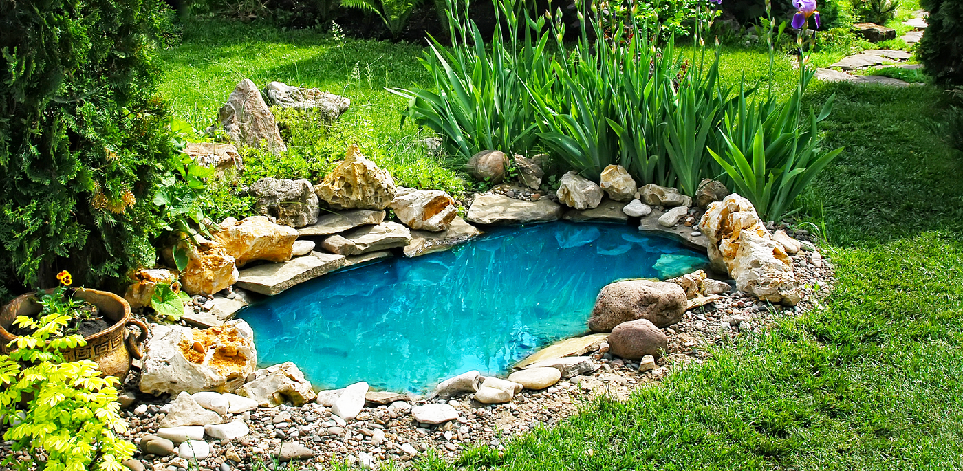 garden pond installers near me