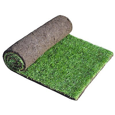 Centipede SOD