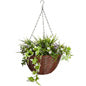 Hanging Baskets