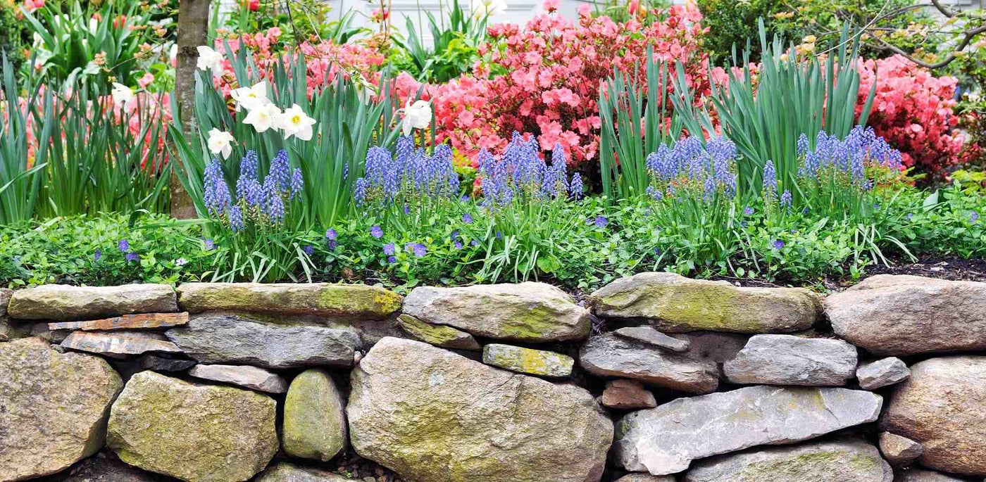 flower bed landscaping