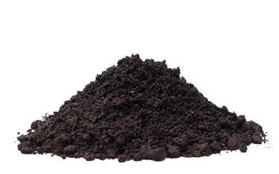 Black Top Soil