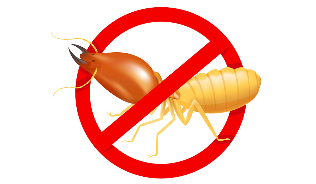 Termite Treatment