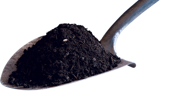 Small Tribal Top Soil