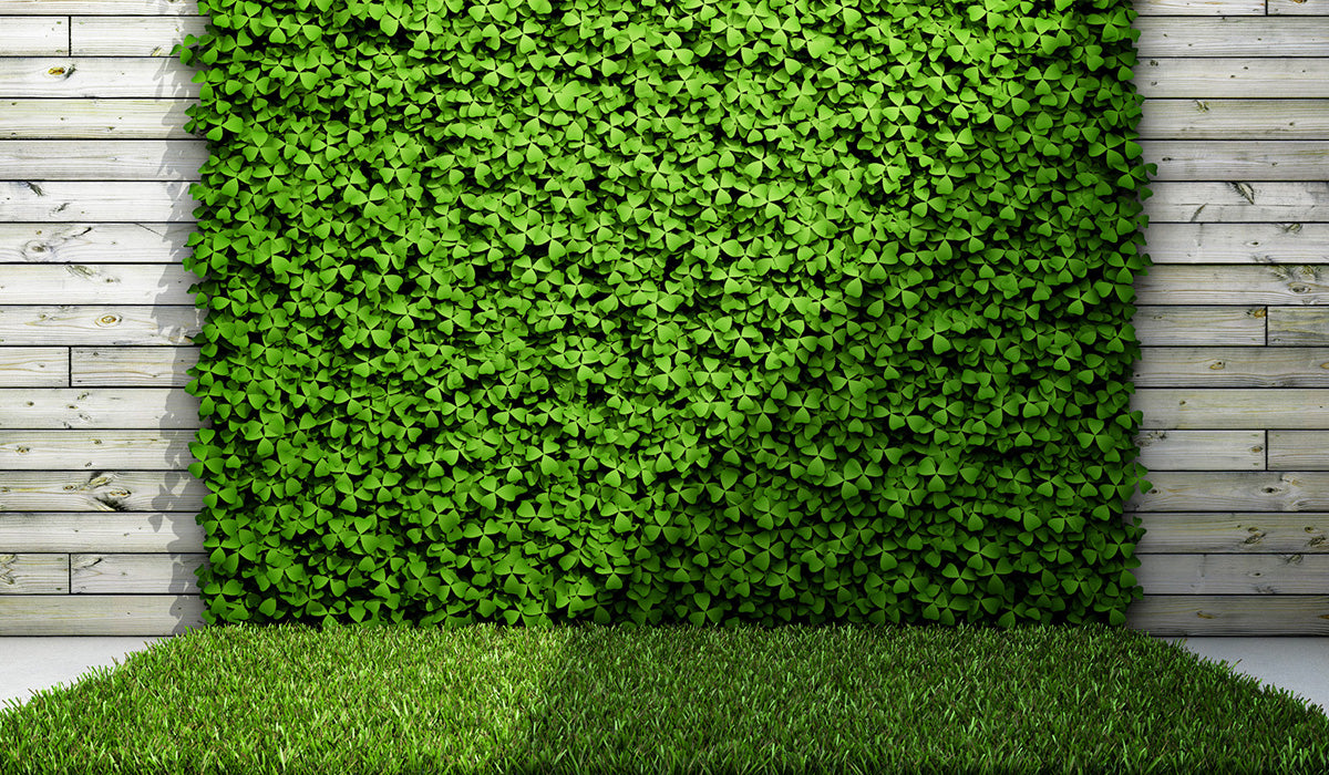 Urban Gardening