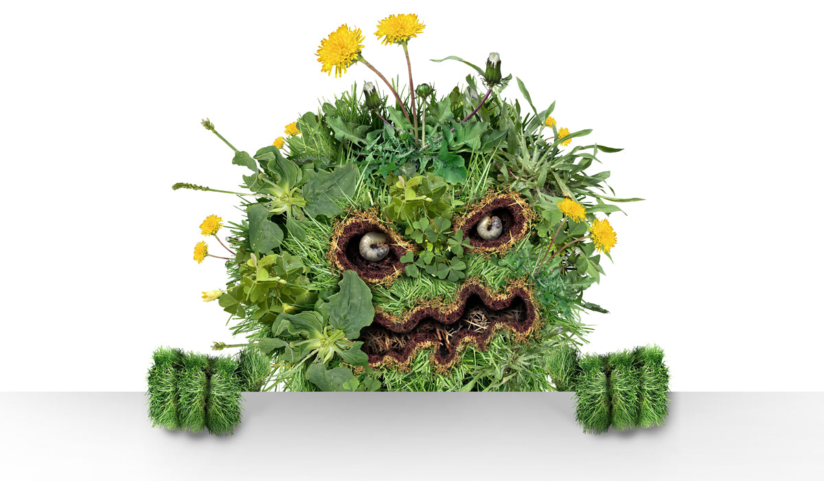 Weed Prevention