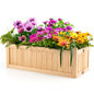 Window Boxes